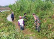 Sinergi TNI dan Petani: Babinsa Ramil 1420-05/Dua Pitue Pimpin Kerja Bakti Pembersihan Saluran Irigasi di Sidrap