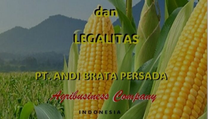 PT Andi Brata Persada, Perusahaan Nasional yang Tumbuh dari Enrekang hingga Jakarta