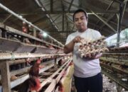 Bupati Sidrap Dorong Petani dan Peternak Transaksi Digital Pakai QRIS