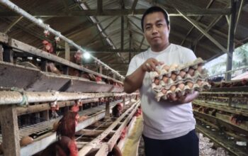 Bupati Sidrap Dorong Petani dan Peternak Transaksi Digital Pakai QRIS