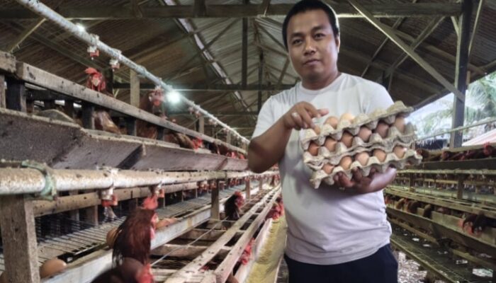 Bupati Sidrap Dorong Petani dan Peternak Transaksi Digital Pakai QRIS