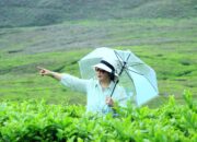 Andi Maisara Ajukan Kasasi ke Mahkamah Agung, Pertanyakan Kewenangan Relatif Pengadilan Agama Pontianak