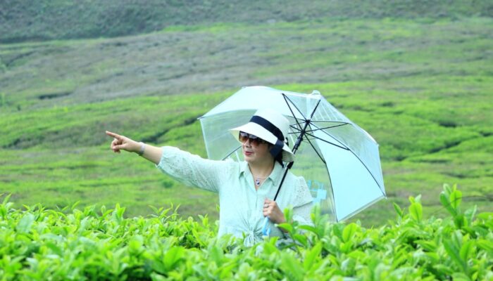 Andi Maisara Ajukan Kasasi ke Mahkamah Agung, Pertanyakan Kewenangan Relatif Pengadilan Agama Pontianak