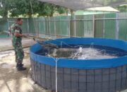 Makodim 1420/Sidrap Gencarkan Program Ketahanan Pangan Melalui Pemanfaatan Lahan Kosong