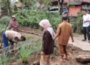 Camat Rilau Ale Luncurkan Mappideceng, Dorong Pertanian Ramah Lingkungan untuk Ketahanan Pangan