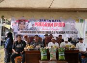 Bersama Petani Majjelling, Bupati Sidrap Tunjukkan Hasil IP300