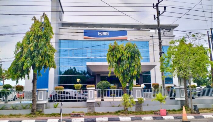 Realisasi KUR BRI Fantastis, UMKM Bulukumba Tumbuh Pesat