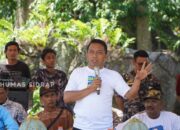 Sidrap Kembangkan Kelapa Genjah Pandan Wangi, Bupati Lakukan Penanaman Perdana