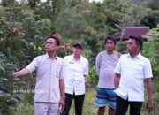 Bupati Sidrap Cek Pengerukan Bendungan Alekarajae, Dukung Pengairan 1.300 Hektare Sawah