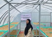 Membanggakan, Perempuan Penjual Kopi dari Bulukumba Lolos YSEALI PFP ke Amerika Serikat