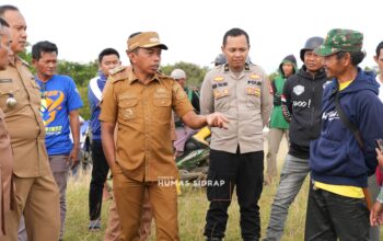 Bupati Sidrap Tinjau Pertanian dan Kawasan Transmigrasi di Pitu Riase