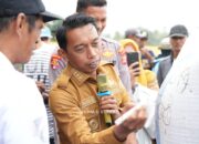 Panen Raya di Bila Riase, Bupati Sidrap Dorong Modernisasi Pertanian Demi Peningkatan Produksi dan Kesejahteraan Petani