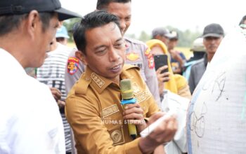 Panen Raya di Bila Riase, Bupati Sidrap Dorong Modernisasi Pertanian Demi Peningkatan Produksi dan Kesejahteraan Petani