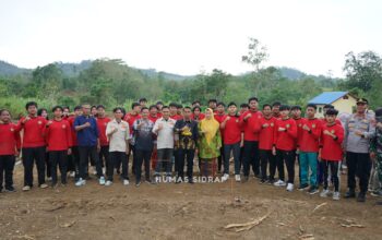 Bupati dan Wabup Sidrap Tanam Alpukat di Desa Lombo, Dorong Hortikultura Unggulan