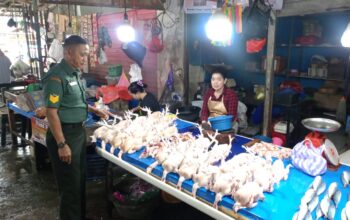 Babinsa koramil 03/Maritengngae pantau harga bahan pokok di pasar sentral Pangkajene