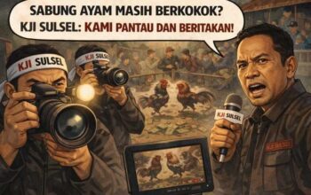 Sabung Ayam Masih Berkokok? KJI Sulsel: Kami Pantau dan Beritakan!
