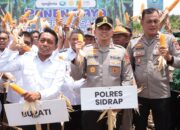 Kapolres Sidrap Bersama Forkompimda Pimpin Langsung Tanam dan Panen Jagung di Desa Mattirotasi