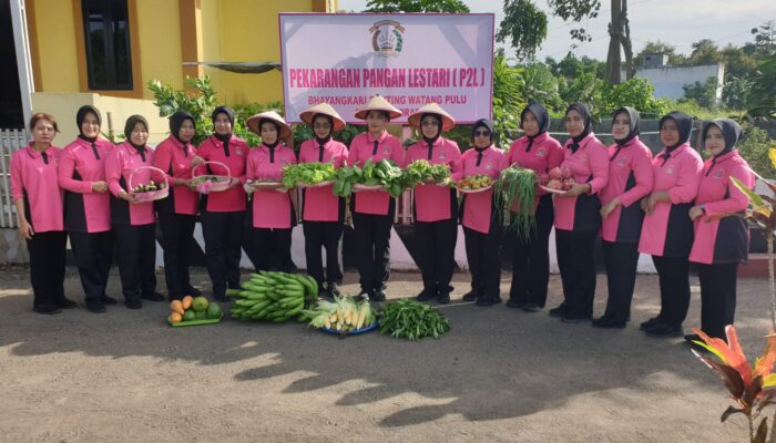 Bhayangkari Ranting Wattangpulu Panen Sayur P2L, Dukung ketahanan pangan
