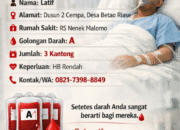 Pasien di RS Nenek Malomo Butuh Donor Darah Golongan A, 3 Kantong Segera Diperlukan