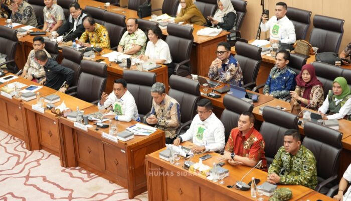 Bupati Syaharuddin Alrif Perjuangkan Dana Bagi Hasil PLTB Sidrap di Komisi XII DPR RI