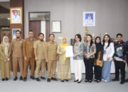 Terima Tim Pemeriksa BPK Sulsel, Wabup Sidrap Tekankan OPD Proaktif