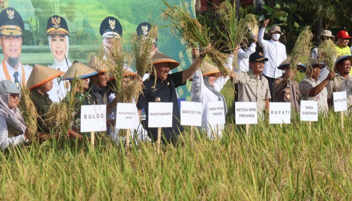 Wakil Gubernur Sulsel hadiri pesta panen di kecamatan Mattiro bulu