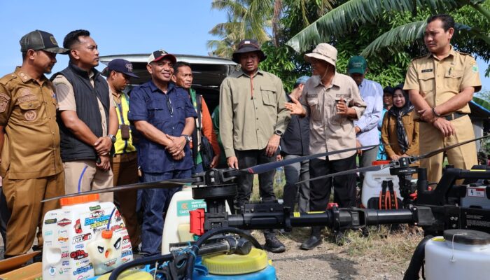 Direktorat Pestisida Kementan RI serahkan bantuan kepada kelompok tani di enam kecamatan yang ada di kabupaten Pinrang