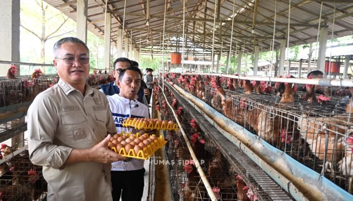 Bupati Sidrap Sebut Kunjungan Pemkab Malinau Pacu Sinergi Antardaerah