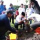 Tanam Pohon Kembali Warnai Peringatan Harkitnas