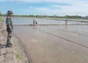 Babinsa Kanyuara Dampingi Petani, Optimalkan Luas Tambah Tanam MT 2 Tahun 2026