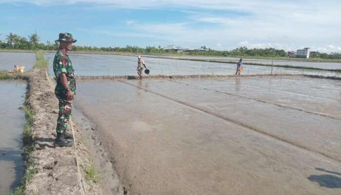 Babinsa Kanyuara Dampingi Petani, Optimalkan Luas Tambah Tanam MT 2 Tahun 2026