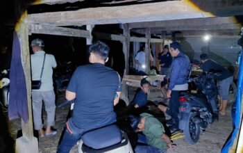 Pesta Sabu di Cempa Dibubarkan, Polisi Tangkap  Terduga Pencuri Motor, Hewan dan Traktor