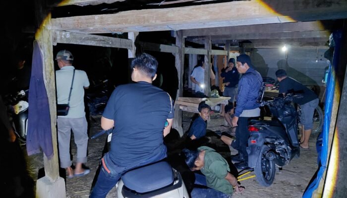 Pesta Sabu di Cempa Dibubarkan, Polisi Tangkap  Terduga Pencuri Motor, Hewan dan Traktor