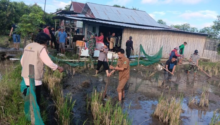 Bhabinkamtibmas Desa Bunga Hadiri Tradisi Mapalili, Wujud Kedekatan Polri dengan Masyarakat