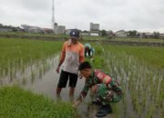 Babinsa Kelurahan Majjelling Lakukan Pendataan dan Pendampingan LTT di Lahan Milik Asi