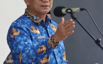 Wakil Bupati Pinrang pimpin upacara Harkitnas