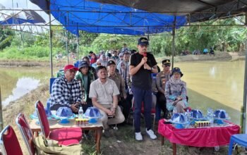 Dukung swasembada pangan berkelanjutan sekda Pinrang hadiri kegiatan gerakan tanam OPlah 2024 dan 2025