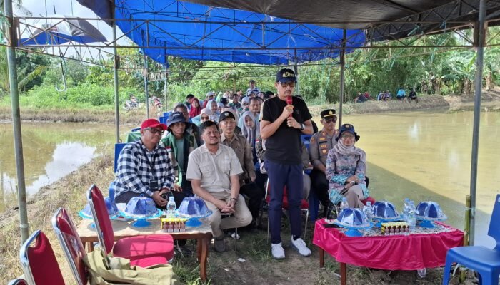 Dukung swasembada pangan berkelanjutan sekda Pinrang hadiri kegiatan gerakan tanam OPlah 2024 dan 2025
