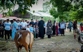 Polres Pinrang Sembelih 22 Ekor Sapi Kurban di Hari Raya Idul Adha 1447 Hijriah