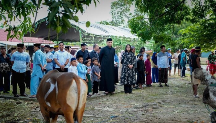 Polres Pinrang Sembelih 22 Ekor Sapi Kurban di Hari Raya Idul Adha 1447 Hijriah