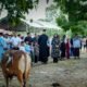Polres Pinrang Sembelih 22 Ekor Sapi Kurban di Hari Raya Idul Adha 1447 Hijriah