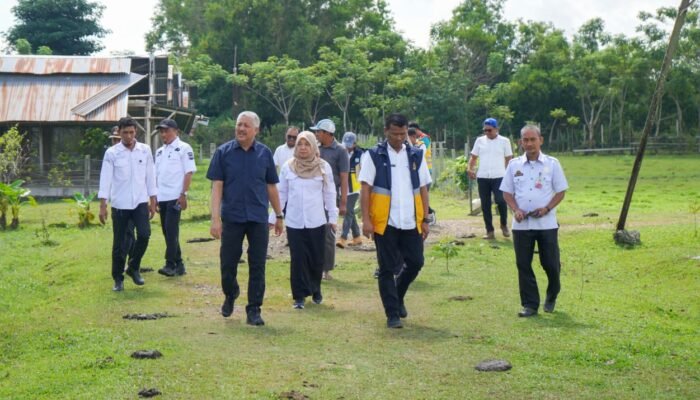 Bupati Pinrang didampingi sejumlah kepala OPD tinjau lokasi pembangunan Sekolah Rakyat di malimping