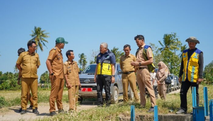 Bupati Pinrang tinjau lahan milik pertanian milik warga di desa Mallongi-longi