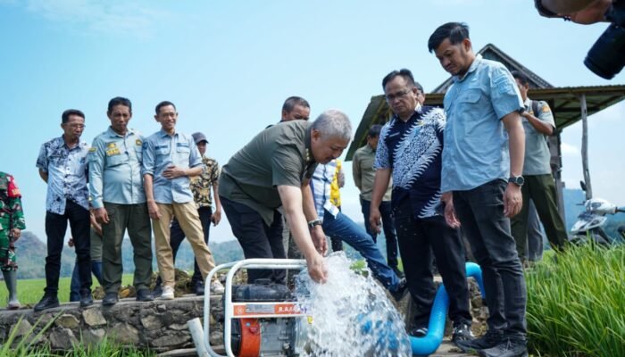 Bupati Pinrang sejumlah wilayah lahan pertanian terdampak kekeringan