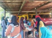 Kader dan Posyandu Bulukumba Juara 1 Tingkat Sulsel, Wakili Sulsel di Ajang Nasional