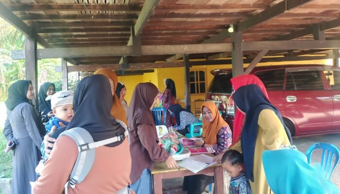 Kader dan Posyandu Bulukumba Juara 1 Tingkat Sulsel, Wakili Sulsel di Ajang Nasional