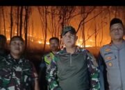 Dandim 1420 Sidrap Turun Langsung Padamkan Kebakaran Lahan di Mattirotasi