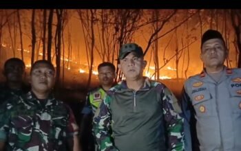 Dandim 1420 Sidrap Turun Langsung Padamkan Kebakaran Lahan di Mattirotasi