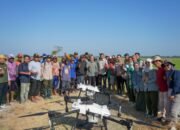 Dorong peningkatan pemanfaatan teknologi dalam sektor pertanian ,teknologi drone mulai di manfaatkan membantu proses penyemprotan insektisida