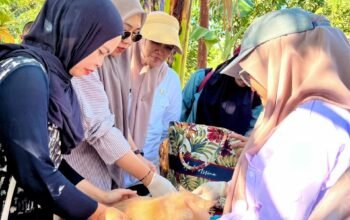 Jambore Pelayanan Publik Gantarang Hadirkan Layanan Kesehatan Hewan, Sapi hingga Kucing Dilayani